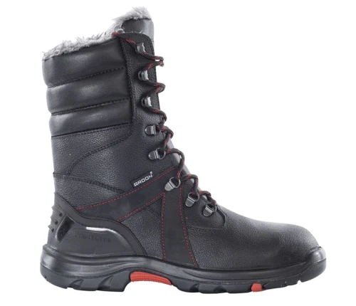 G3123_001.jpg