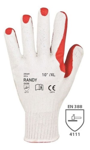 randy01.jpg